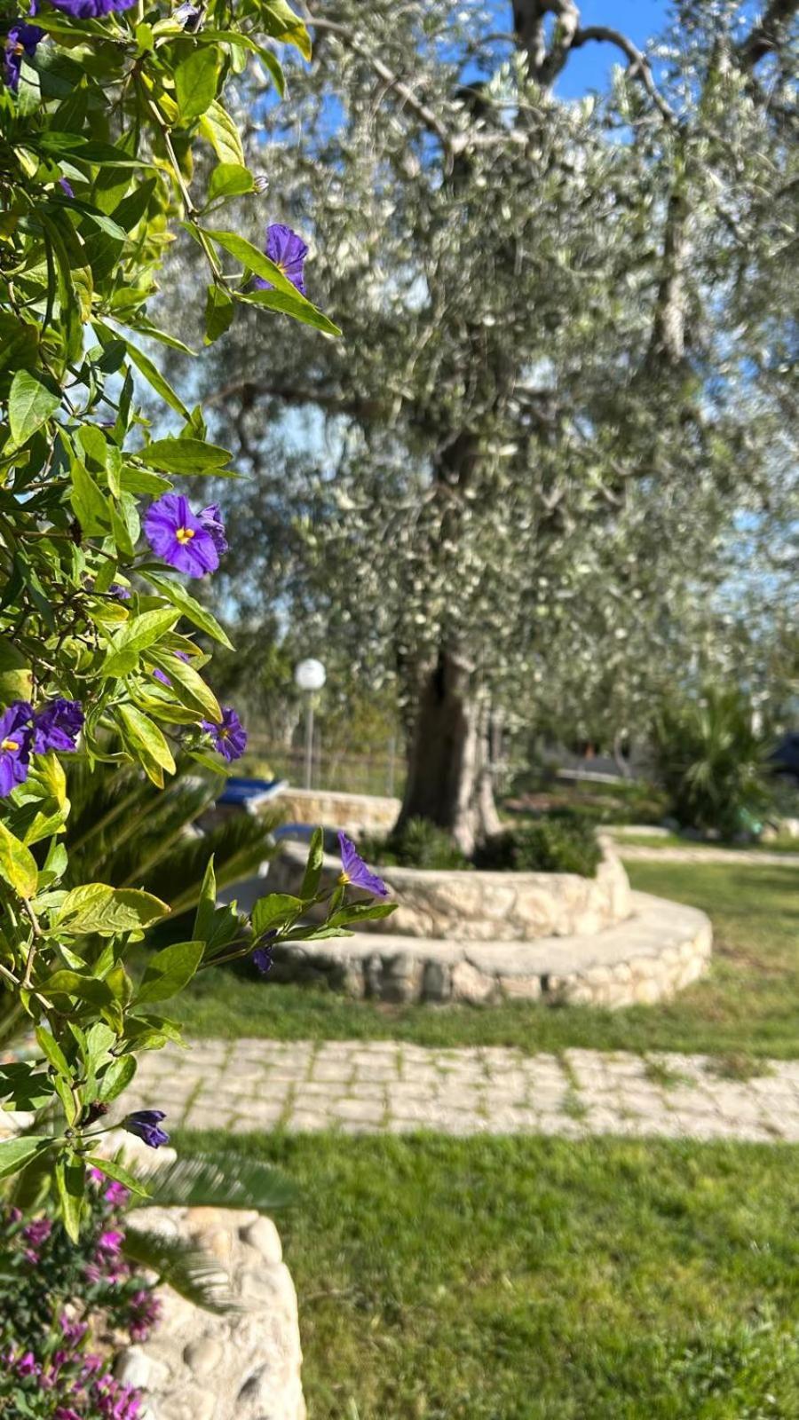 B&B Tor Di Lupo Mattinata Zewnętrze zdjęcie